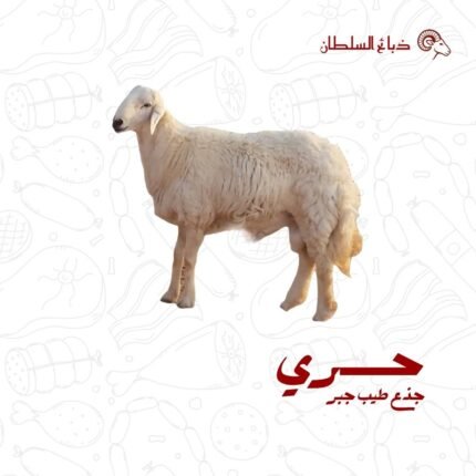 حري جذع طيب ( جبر )