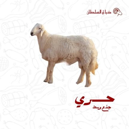 حري جذع وسط