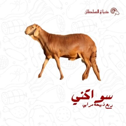 ربع ذبيحة سواكني مرابي