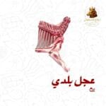 ربع عجل بلدي