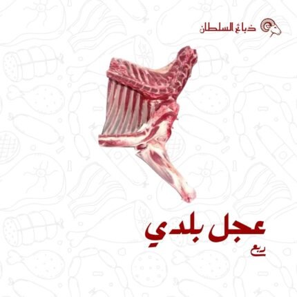 ربع عجل بلدي