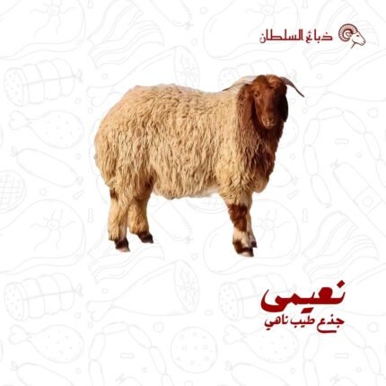 نعيمي جذع طيب ناهي