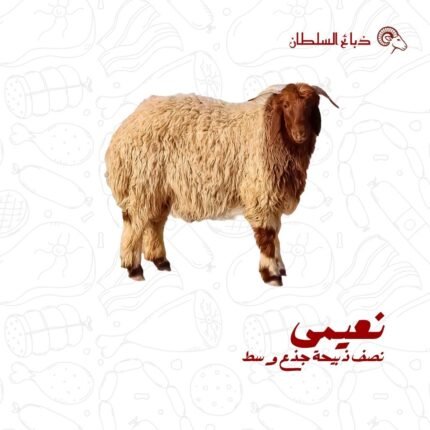نصف ذبيحة نعيمي جذع وسط