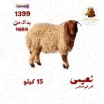 نعيمي هرفي صغير