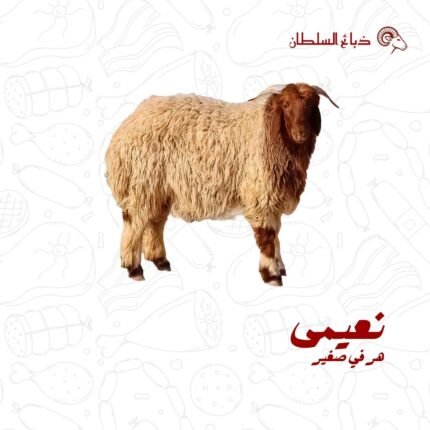 نعيمي هرفي صغير