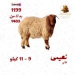 نعيمي لباني