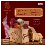 بوكس نصف نعيمي بلدي